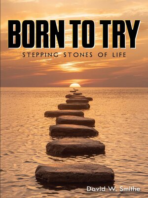 cover image of BORN TO TRY